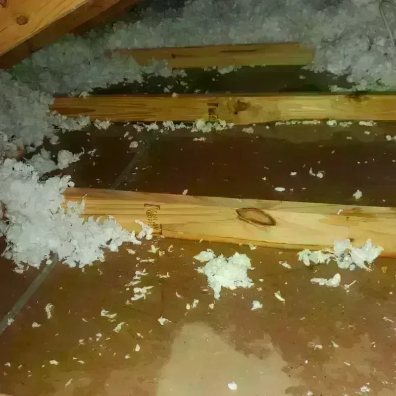 Attic Water Damage in Johnston County, NC